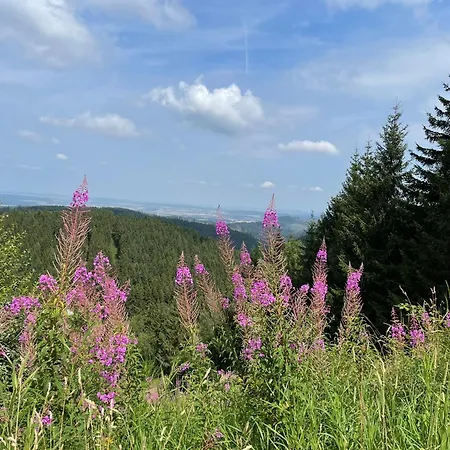 Apartment Wunderschoenes Fuer Familien Im Harz In Historischer Stadtvilla Im Herzen Zellerfelds *