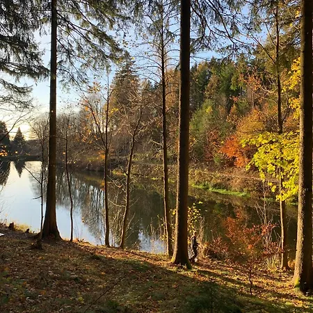 Wunderschoenes Fuer Familien Im Harz In Historischer Stadtvilla Im Herzen Zellerfelds * Clausthal-Zellerfeld