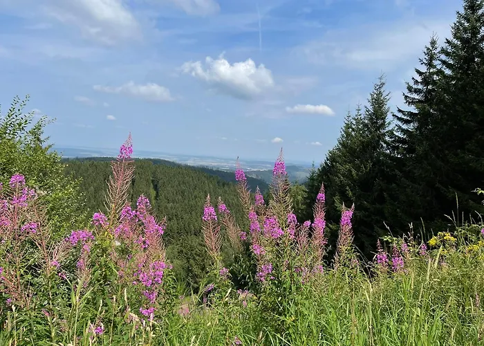 Apartment Wunderschönes Für Familien Im Harz In Historischer Stadtvilla Im Herzen Zellerfelds *