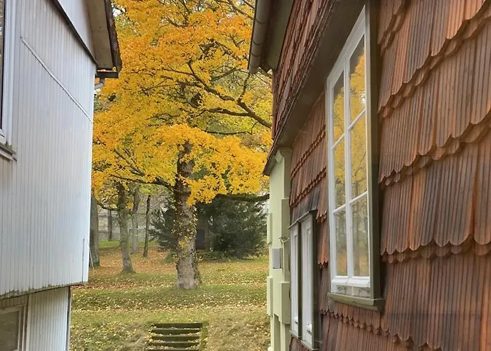 Apartment Wunderschönes Für Familien Im Harz In Historischer Stadtvilla Im Herzen Zellerfelds